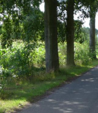 Zwart Goor, het domein in Merksplas